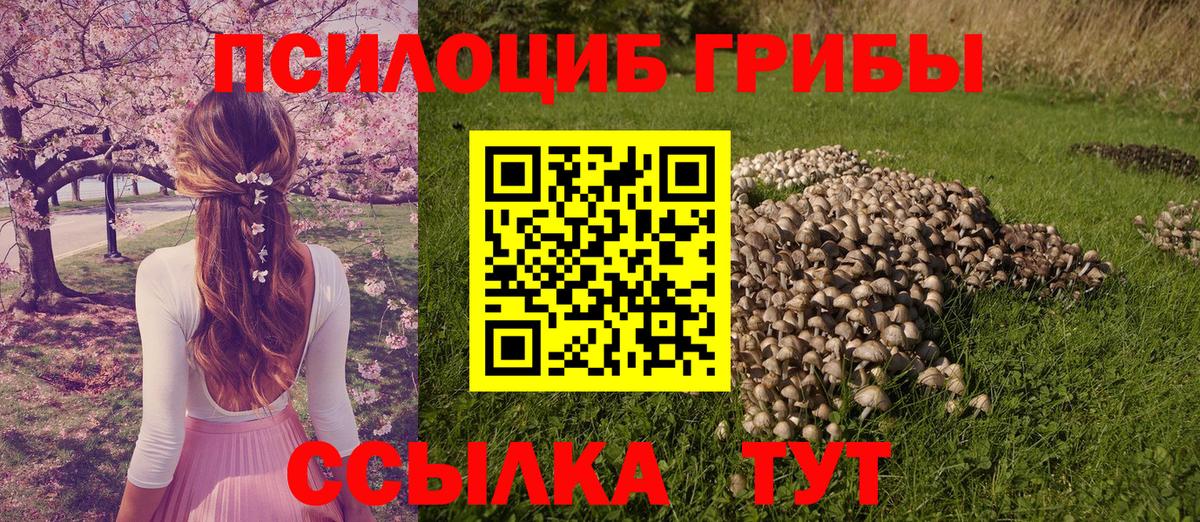 Псилоцибиновые грибы мухоморы  Галлюциногенные грибы MAGIC MUSHROOMS  Узловая  Вход с VPN 